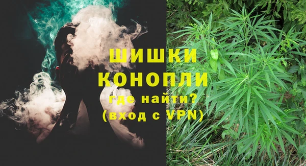 гашик Арсеньев