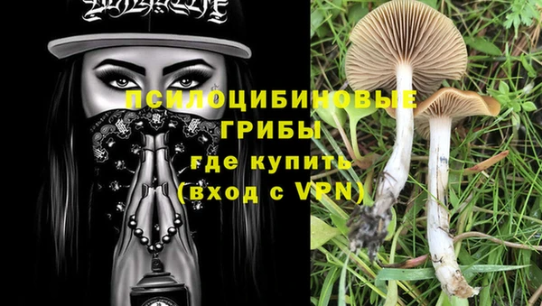 тгк Армянск