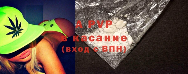гашик Арсеньев