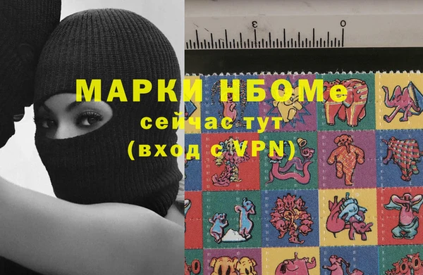 гашик Арсеньев