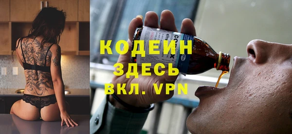гашик Арсеньев